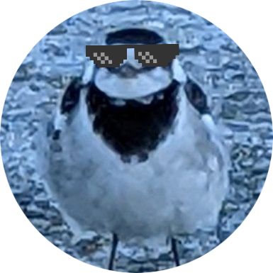 timdaik の鳥のアイコン